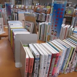 IMG_20250705_3.JPG
