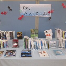 IMG_20260626.JPG